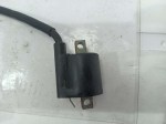 54250 image