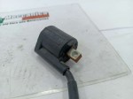 54250 image