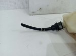 54968 image