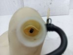54968 image