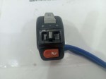 55499 image