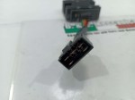 55532 image