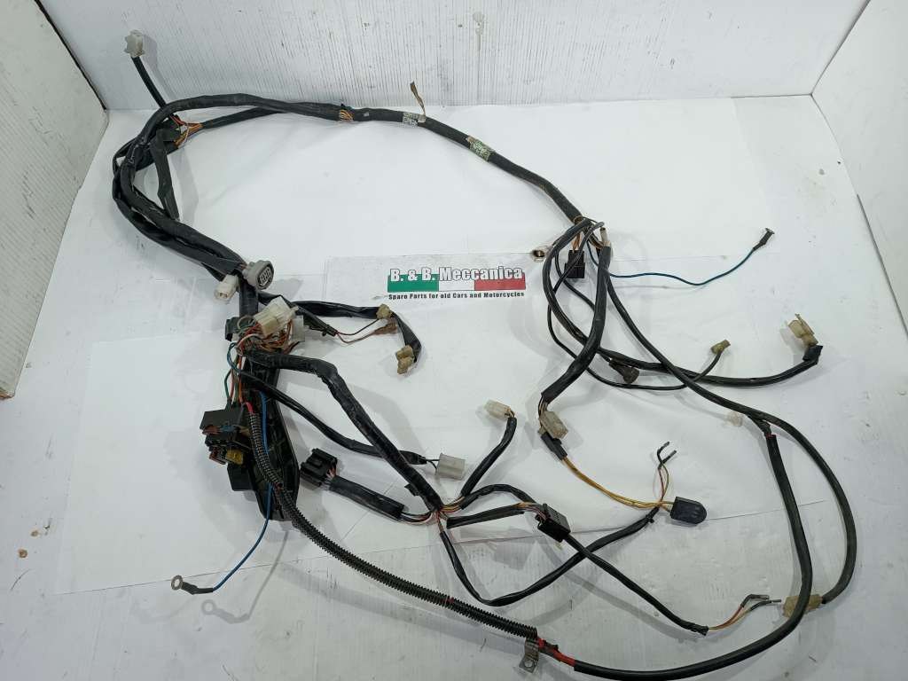 55588 image