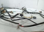55588 image