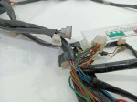 55588 image