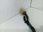 55589 image
