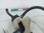 55657 image