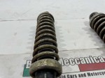 55955 image