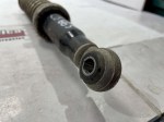 55955 image