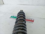56495 image