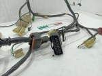 57123 image