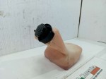 57296 image