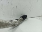 57502 image