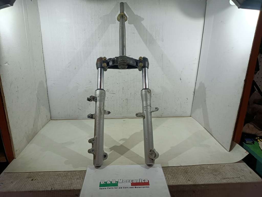 59624 image