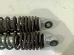 60097 image
