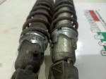60097 image