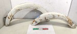 60466 image