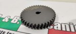 60906 image