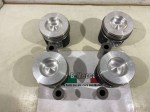 61677 image