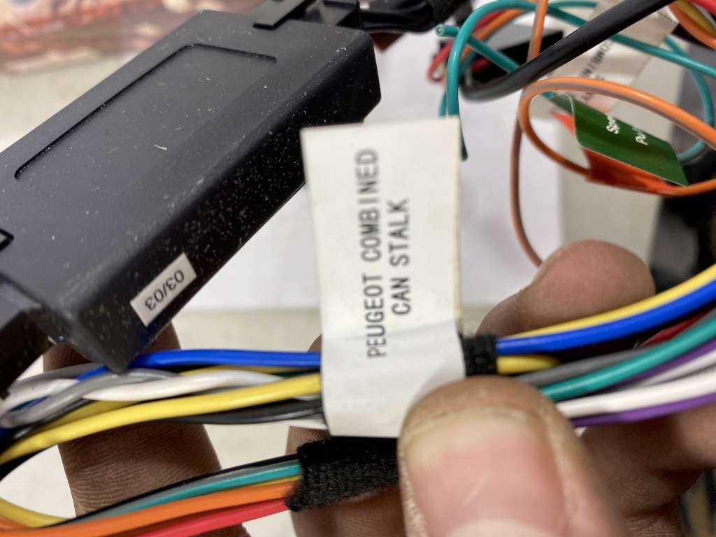 61873 image