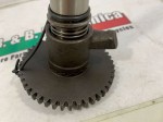62031 image