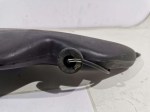 64068 image