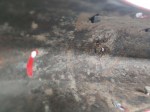 64374 image