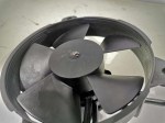 64835 image