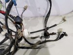 64924 image