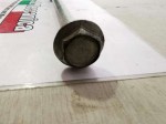 64944 image