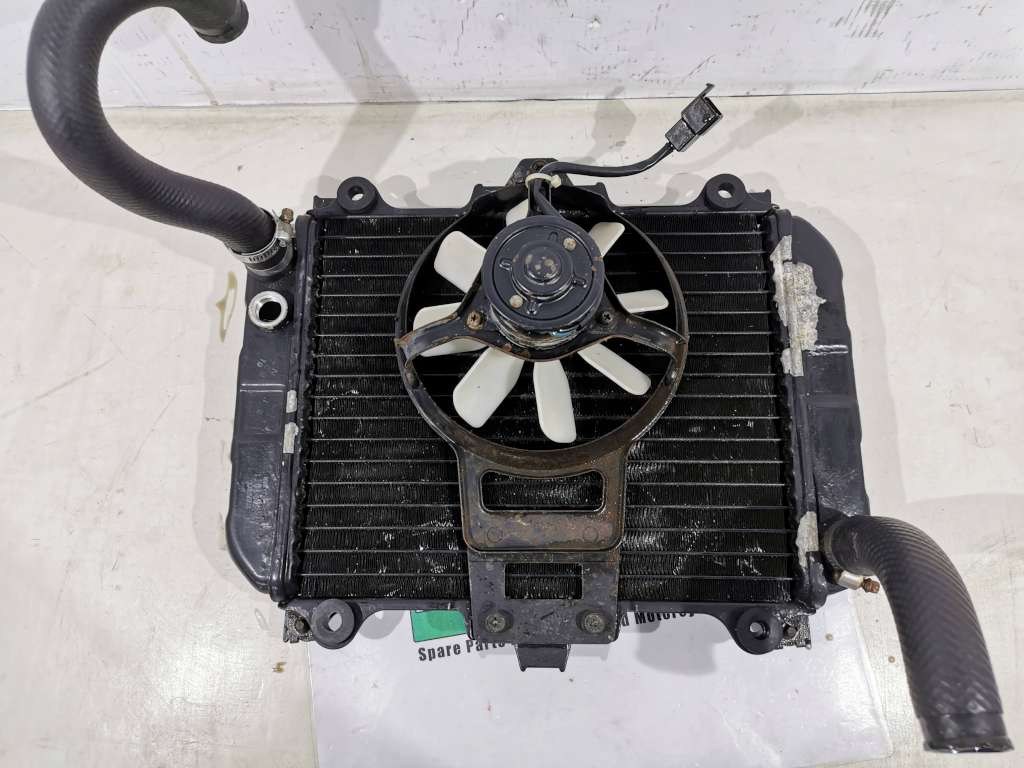 65067 image