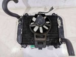65067 image