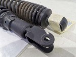 65307 image