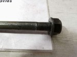 65335 image