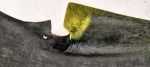 65675 image