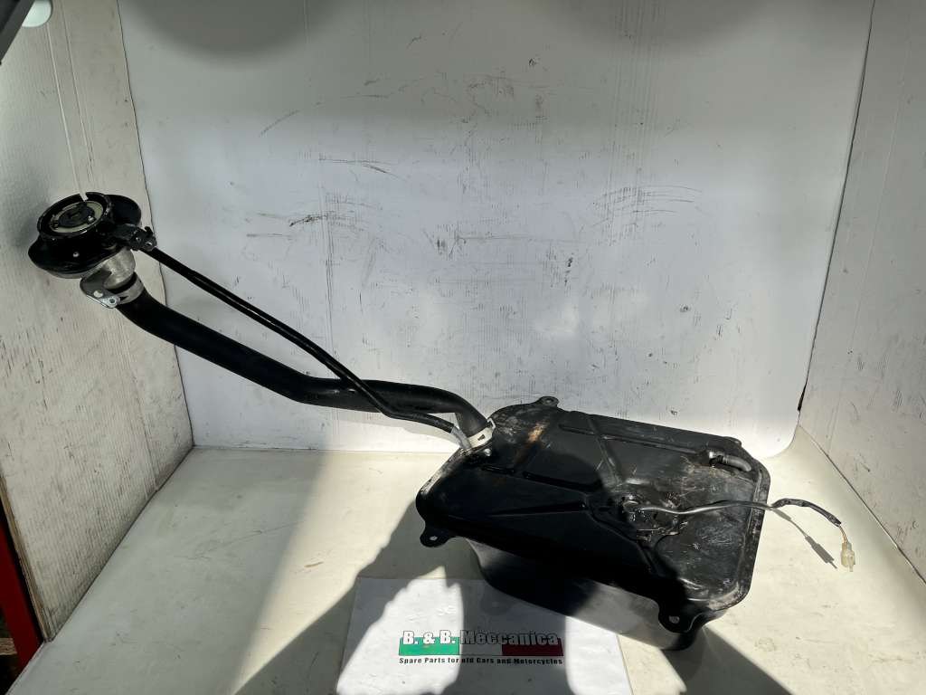 66962 image