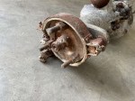 67576 image