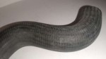 67622 image