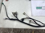 69099 image