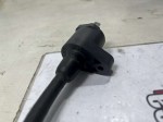 69555 image