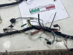 69629 image