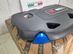 69746 image