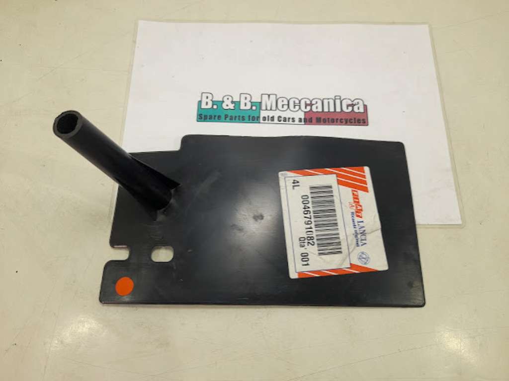 70279 image