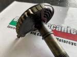 71300 image