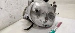 71338 image
