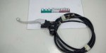 71521 image