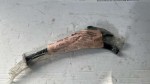 71736 image