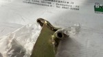 71740 image