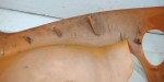 72750 image