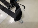 73876 image